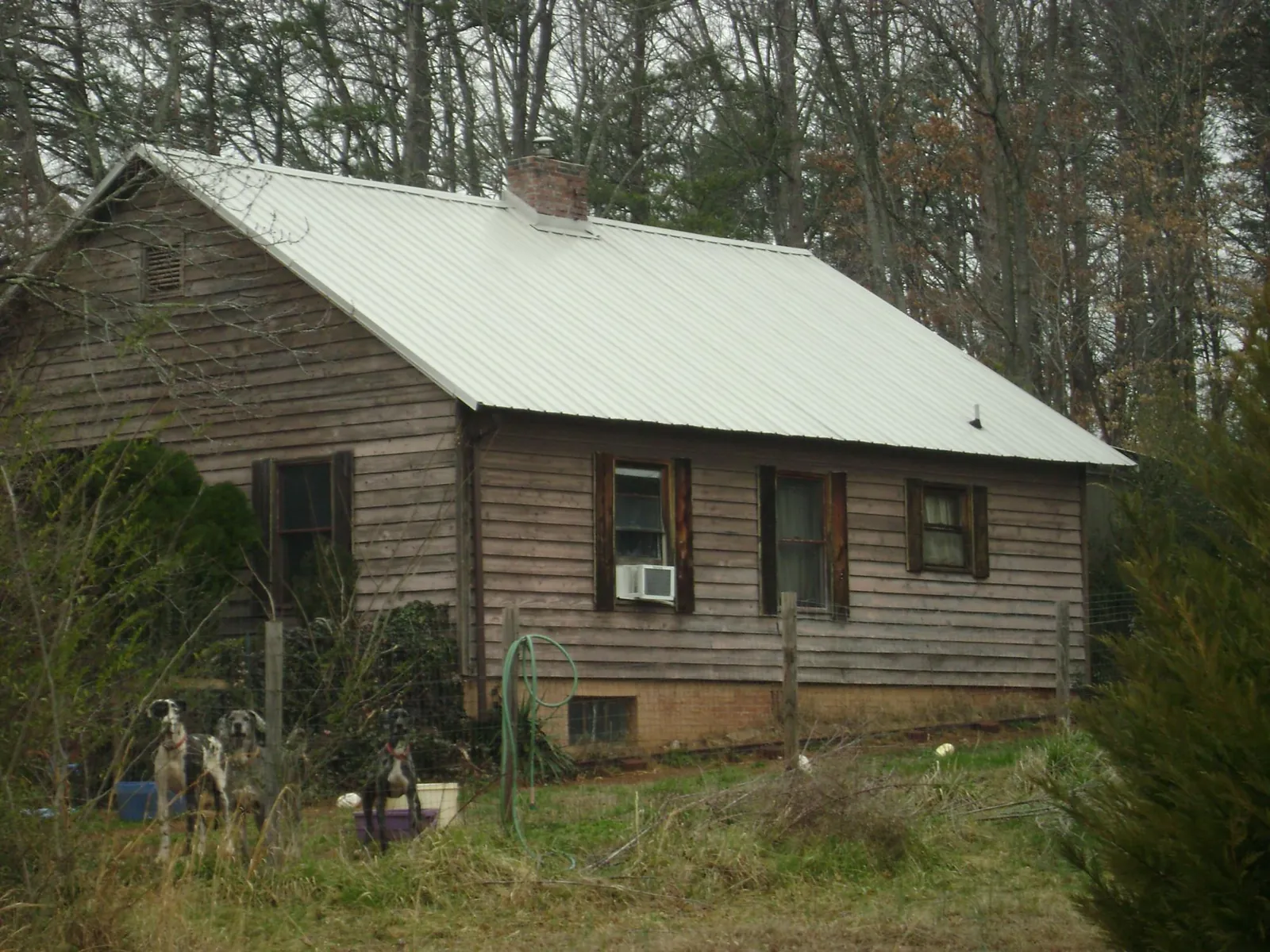 White metal roof on an old wood sided farmhouse, from a Asphalt Shingle Roof Repair job in Allensville